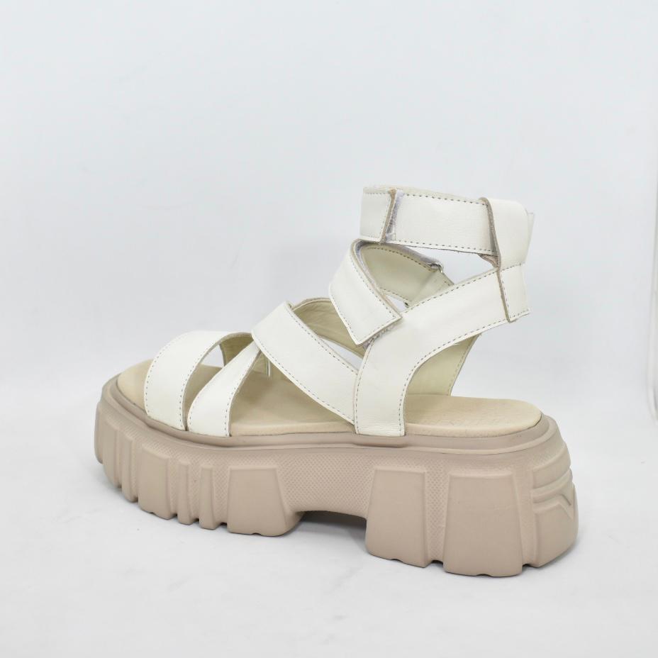 3695fcb5-70a5-42d8-8d38-52446dfbcb0d