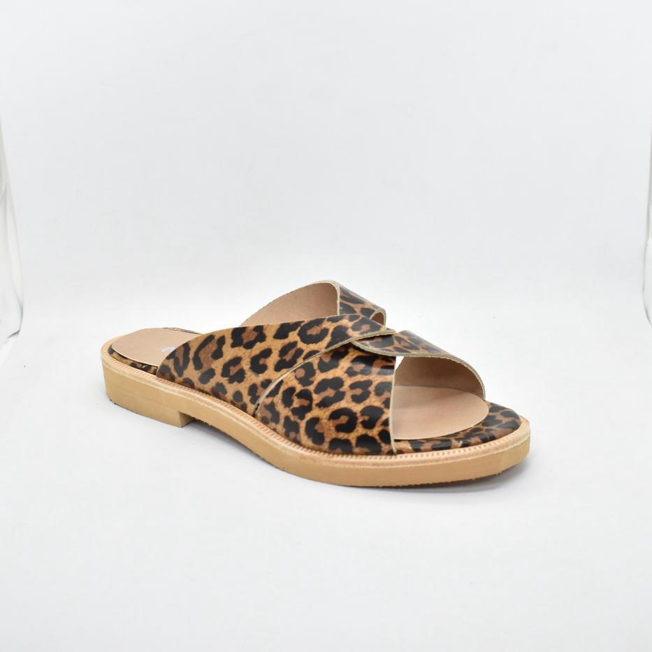 WhatsApp Image 2024-10-24 at 10.39.33