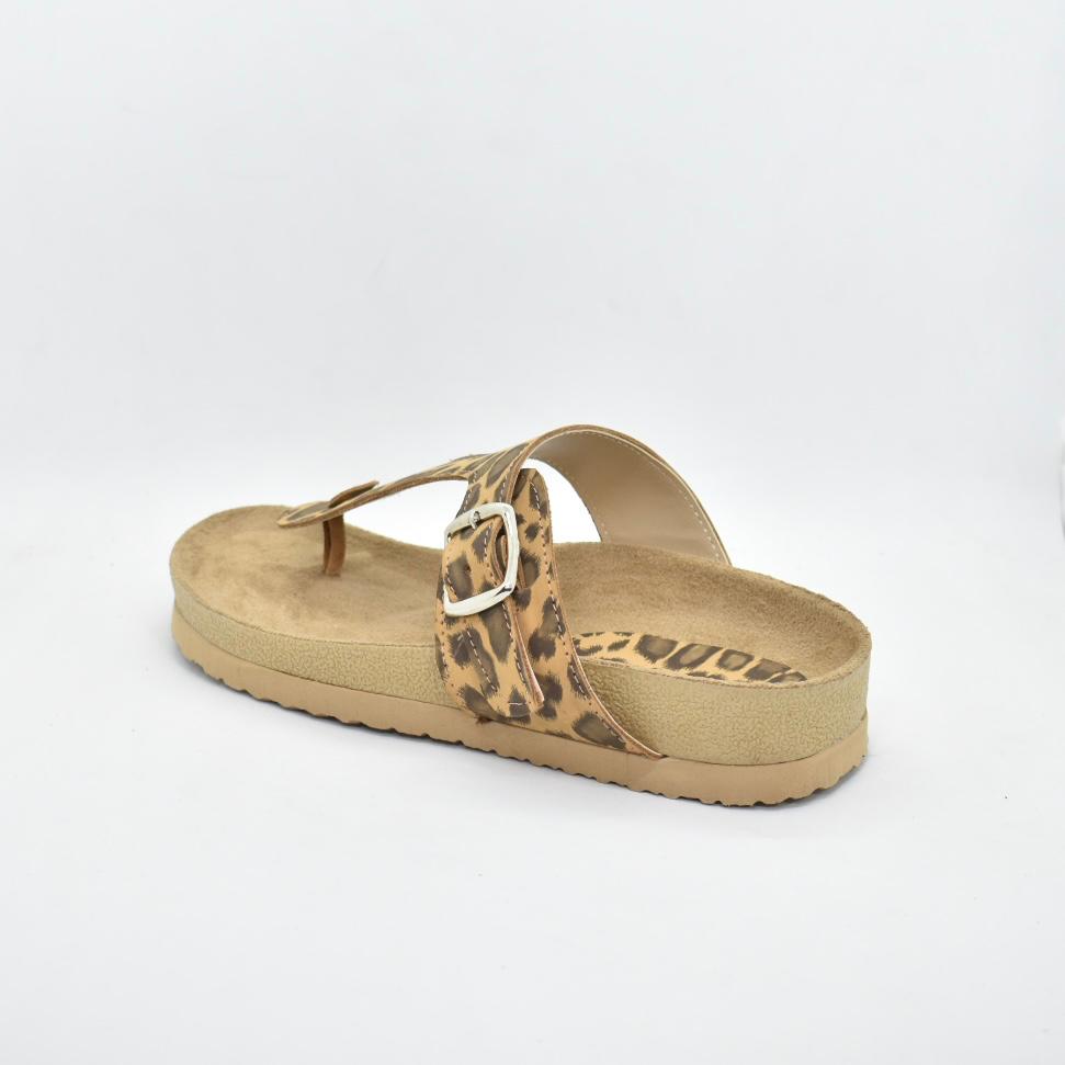 WhatsApp Image 2024-11-25 at 18.33.45