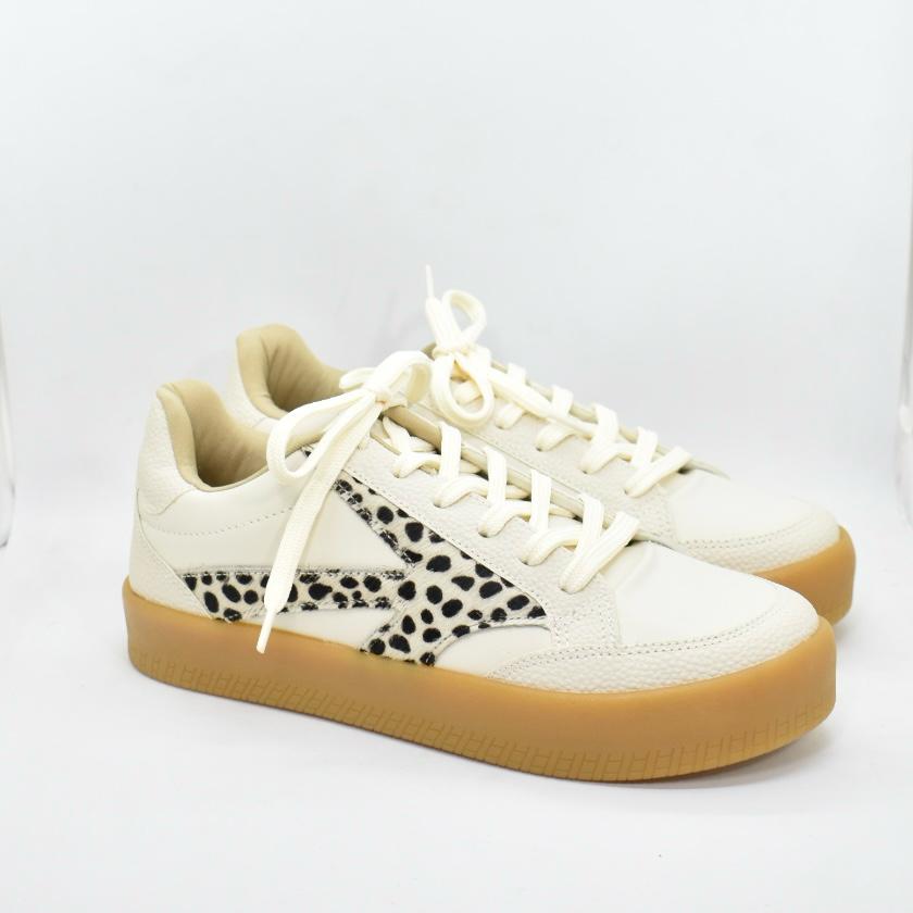 WhatsApp Image 2025-02-07 at 16.34.52