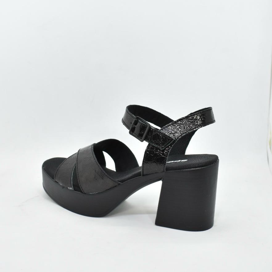 WhatsApp Image 2025-09-05 at 4.43.44 PM