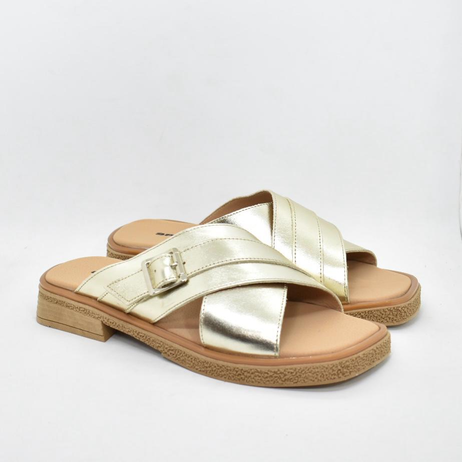 WhatsApp Image 2025-09-05 at 4.43.46 PM (1)