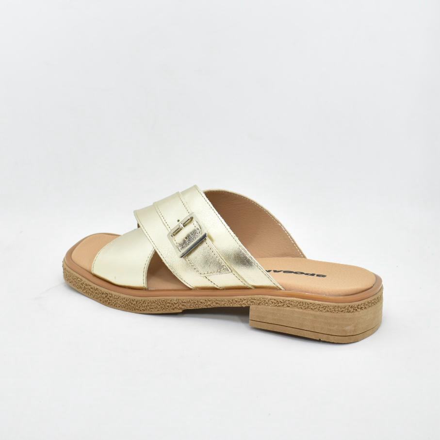 WhatsApp Image 2025-09-05 at 4.43.47 PM (2)