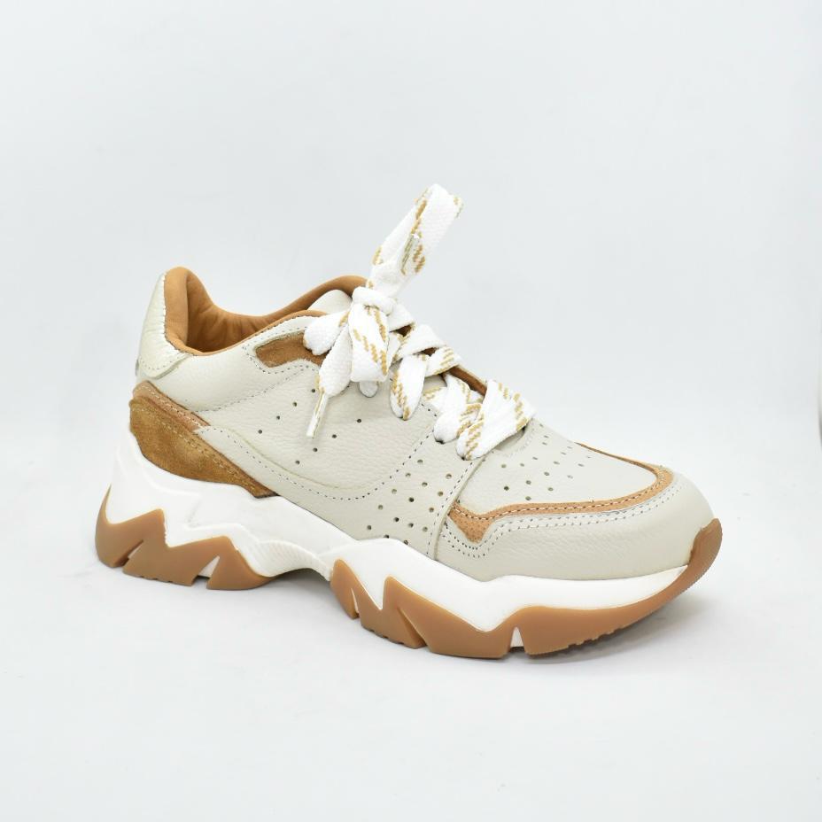 WhatsApp Image 2025-09-05 at 4.43.48 PM (2)